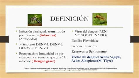 Infección Viral Aguda Transmitida Por Mosquitos Arbovirus Artrópodos 4 Serotipos Denv 1