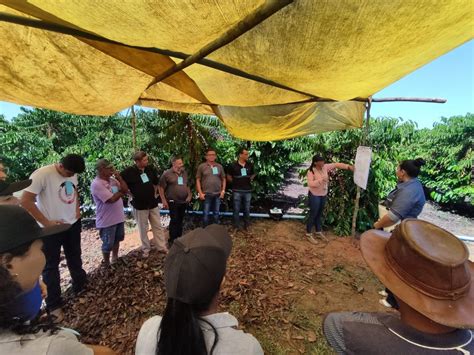 Assistência Técnica e Extensão Rural Dia de Campo do Café é promovido