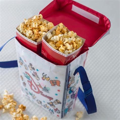 Tokyo Disneyland Popcorn Buckets Flavours Guide TDR Explorer