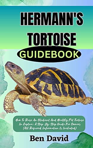 HERMANN'S TORTOISE GUIDEBOOK : How To Raise An Obedient And Healthy Pet ...