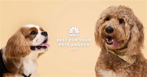 Select Best of Pet Awards 2023 | NBC News | NBC News