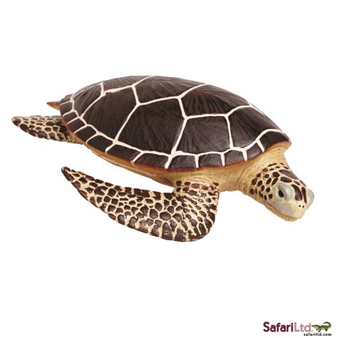 Education Essentials Safari Ltd Turtle