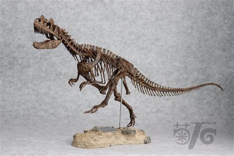 1/10 Ceratosaurus Skeleton Model – Lana Time Shop