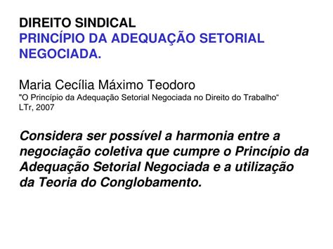 PPT DIREITO SINDICAL PRINCÍPIOS E ORGANIZAÇÃO Gabriel Lopes Coutinho