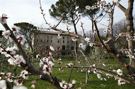 Sullo Sfondo La Sede Dell Editoriale Campi Qui Prendono Vita Il