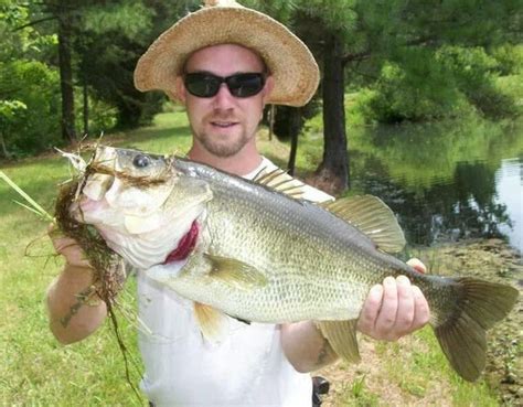 Biggest bass I ever caught. : r/Fishing