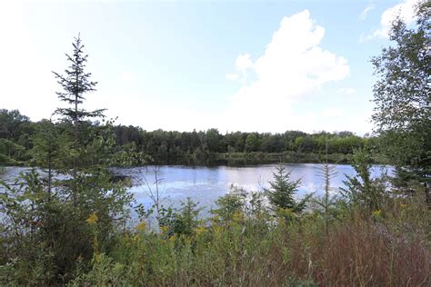 Big Bog State Recreation Area Northwest