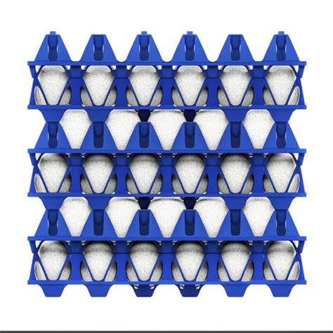 Alvéole à oeufs pour transport EggsCargoSystem GI OVO B V pour