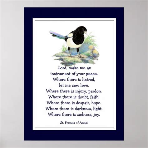 St Francis Of Assisi Prayer With Magpie Bird Poster Zazzle