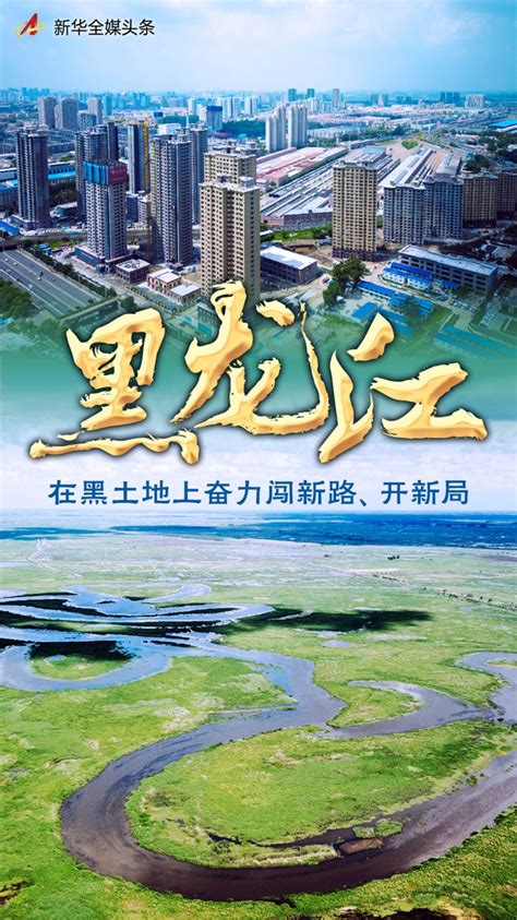 奋进新征程 建功新时代·非凡十年丨黑龙江：在黑土地上奋力闯新路、开新局 新华网