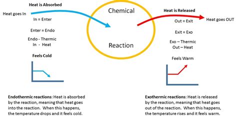 Endoexothermic Reactions Vista Heights 8th Grade Science