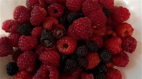 Посадка малины на доращивание в контейнер. - YouTube