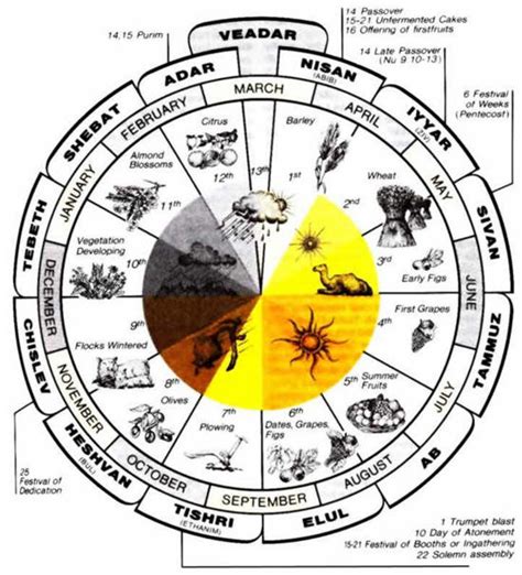 Overview Of The Fall Feasts Of Israel Trumpets Atonement And Tabernacles