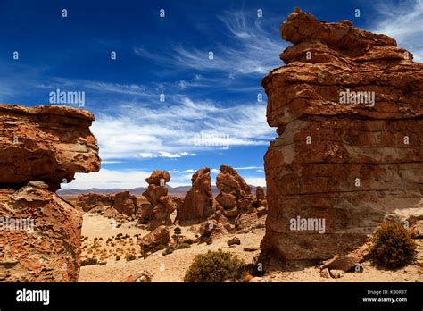 Valle De Las Rocas Bolivian Altiplano Bolivia South America Stock