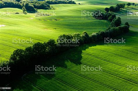 Aerial Photo Of Green Farmland Stock Photo Download Image Now