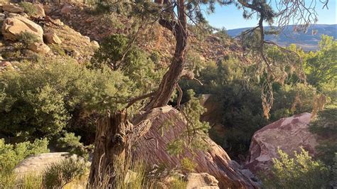 First Creek Canyon Trail K Youtube