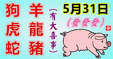 5月31日，五月的最後一天！生肖狗、羊、虎、龍、蛇、豬！有大喜事！ Peekme