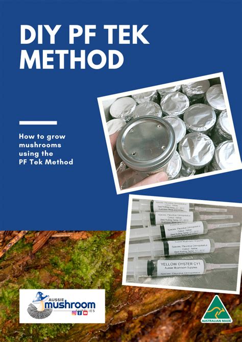 Diy Large Kit Pf Tek Method Aussie Mushroom Supplies