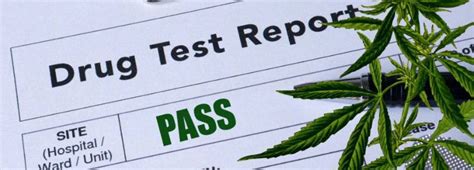 CBD Drug Test : Does CBD Show Up On A Drug Test