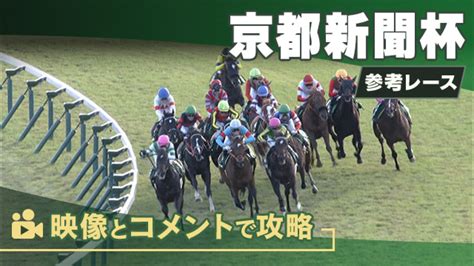 京都新聞杯gii2024 参考レース 競馬予想動画 Netkeiba