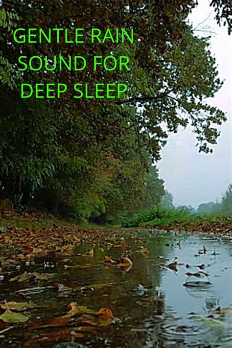 Hours Gentle Rain Sound Helps Relax And Fall Asleep Fast Relaxing