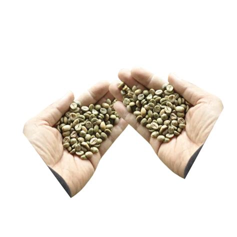 Arabica Coffee Beans Wholesale High Grade Product Raw Coffee Beans ...