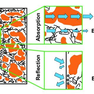 Scheme 2 The Schematic Of Excluded Volume And Transparency Effects Of