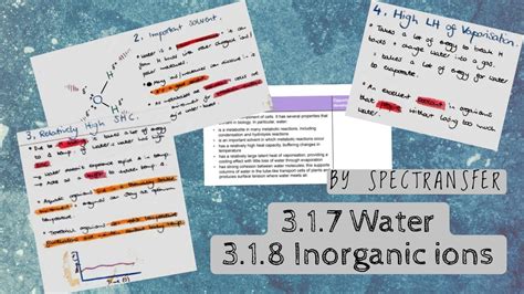 EASY REVISION AQA A Level Biology 3 1 7 Water And 3 1 8 Inorganic Ions