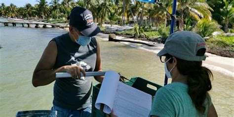 Tejiendo Redes Para Conservar Los Recursos Marinos La Jornada Del Campo