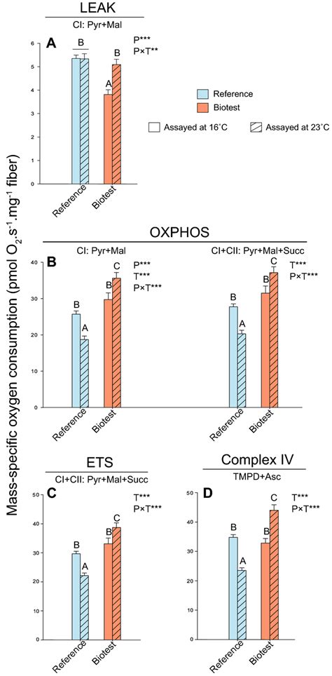 Mitochondrial Respiration Rates In Permeabilized Cardiac Fibers Of