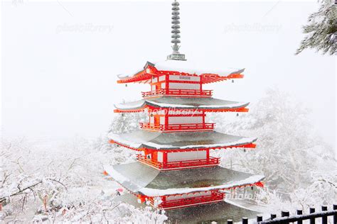 山梨県 新倉山浅間神社の五重塔 雪と桜 写真素材 5966082 フォトライブラリー Photolibrary