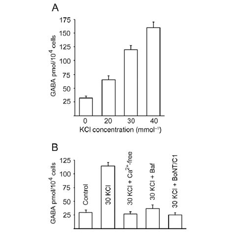 Release Of Amino Butyric Acid GABA Induced By KCldepolarization In