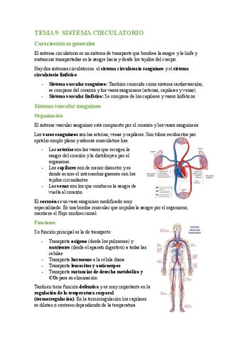 TEMA 9 Sistema Circulatorio Pdf