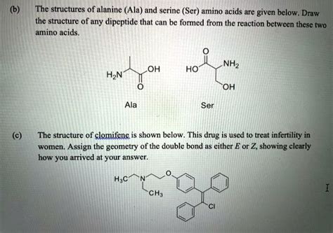 Solved The Structures Of Alanine Ala And Serine Ser Amino Acids