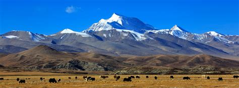 Mt Gurla Mandhata Expedition International Gurla Mandhata Namo Nyani