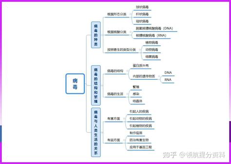 初二八年级上册生物思维导图 知乎