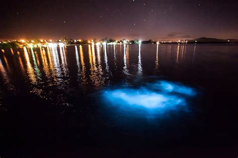 Beautiful Jamaica Glistening Waters Luminous Lagoon