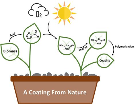 Green Chemistry Creates Coatings From Nature: Turning Biomass Into High ...