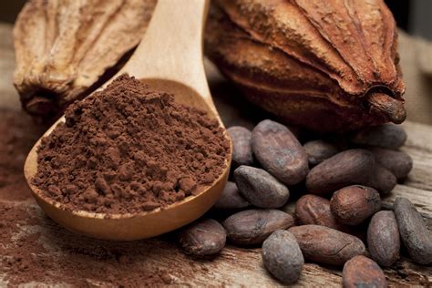 Cocoa bean Facts, Health Benefits and Nutritional Value