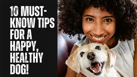 10 Must Know Tips For A Happy Healthy Dog Youtube