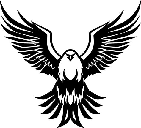 Eagle, Black and White illustration 47845368 Vector Art at Vecteezy