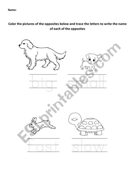 Opposites Fastslow Bigsmall Esl Worksheet By Cacamaca