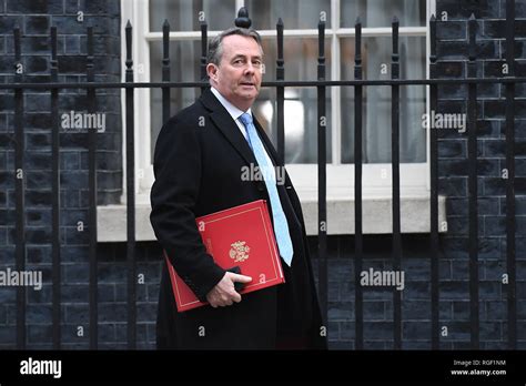 International Trade Secretary Liam Fox Arrives In Downing Street