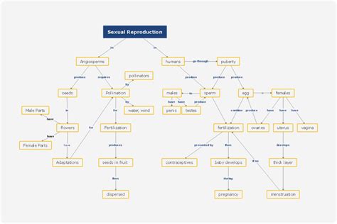 Free Mind Map Templates