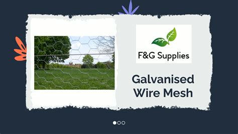 30m Roll X 90cm 3ft Tall Aviary Cage Welded Wire Mesh Rolls 12 5 X