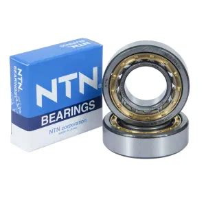 Genuine Japan Nsk Cylindrical Roller Bearing Nu E Nj E M Xl Tvp