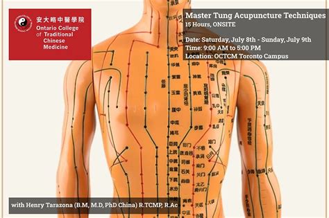 Master Tung Acupuncture Techniques