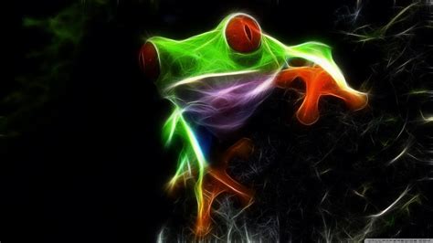 Red Eyed Tree Frog Hd Wallpapers Backgrounds