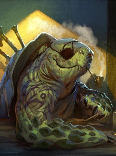 12 Tortle Ideas Dungeons And Dragons Characters Rpg Character Dnd