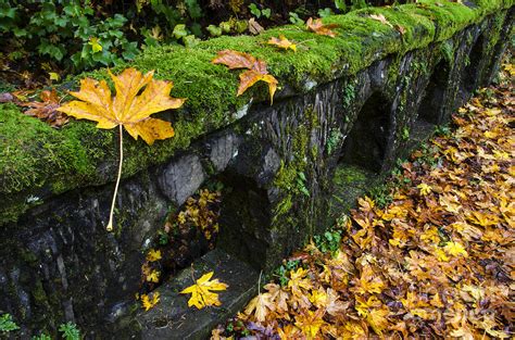 Bridge Columbia River Gorge Photograph by Bob Christopher - Fine Art ...